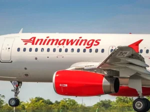 AnimaWings a prelungit până în noiembrie suspendarea zborurilor